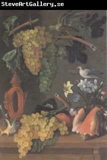 Juan de  Espinosa Still Life with Grapes (san 05)